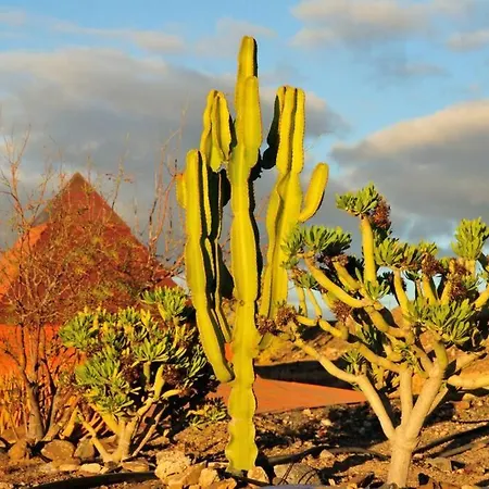 Tranquila Tierra - Eco Retreat Artis Tirma شقة تاراخاليخو