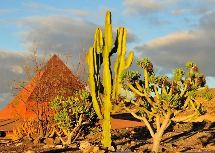 Tranquila Tierra - Eco Retreat Artis Tirma דירה טרחלחו