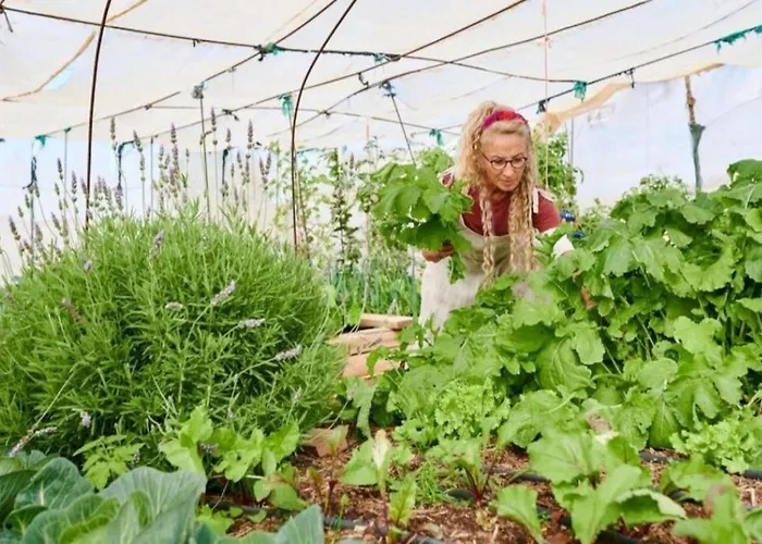 Tranquila Tierra - Eco Retreat Artis Tirma